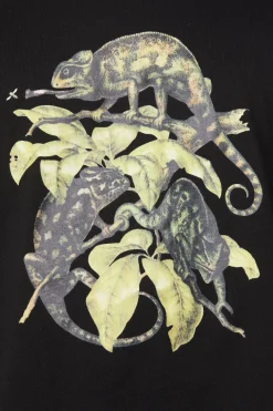 Chameleon Cotton Boxy Tee