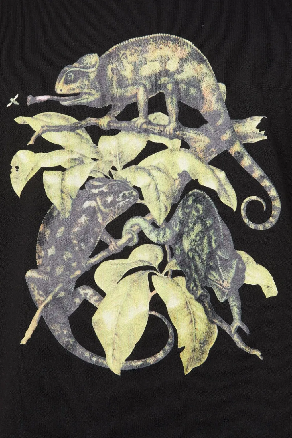 Chameleon Cotton Boxy Tee