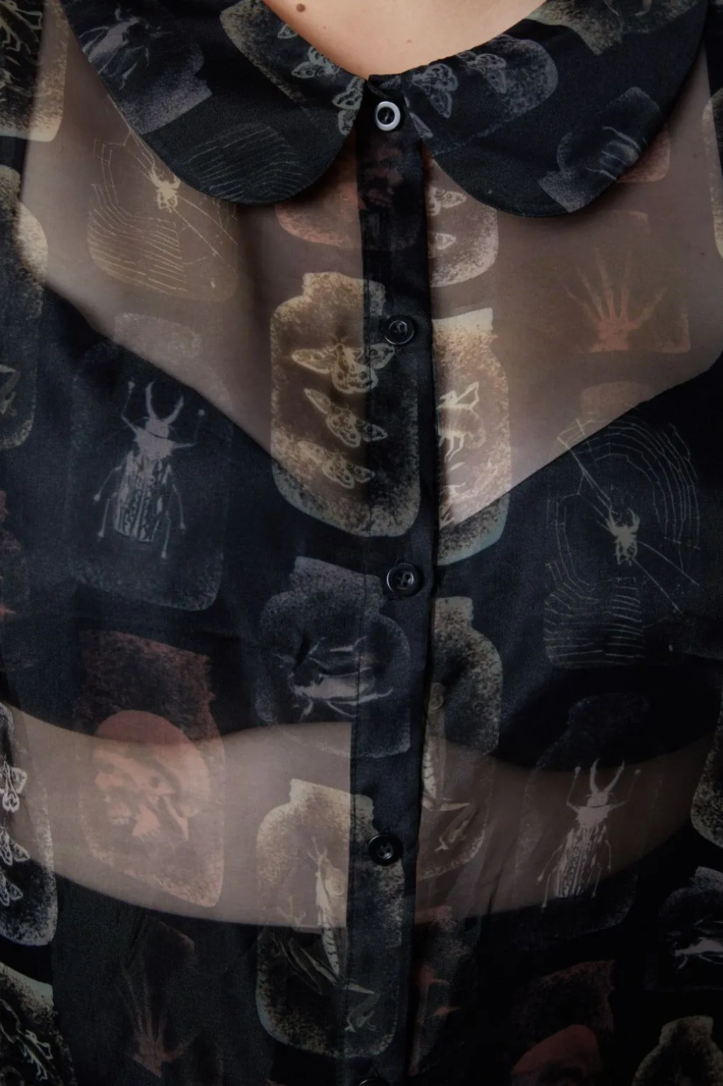 Curve Collections Blouse