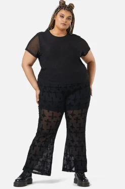 Curve Eliza Mesh Top