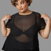 Curve Entity Mesh Top