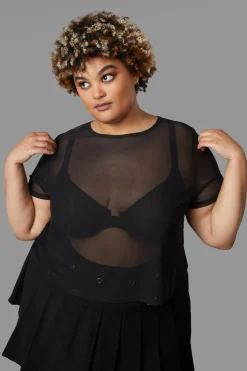 Curve Entity Mesh Top