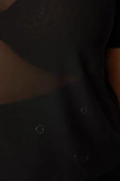 Curve Entity Mesh Top