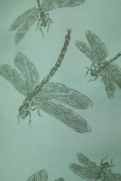 Curve New Beginnings Dress