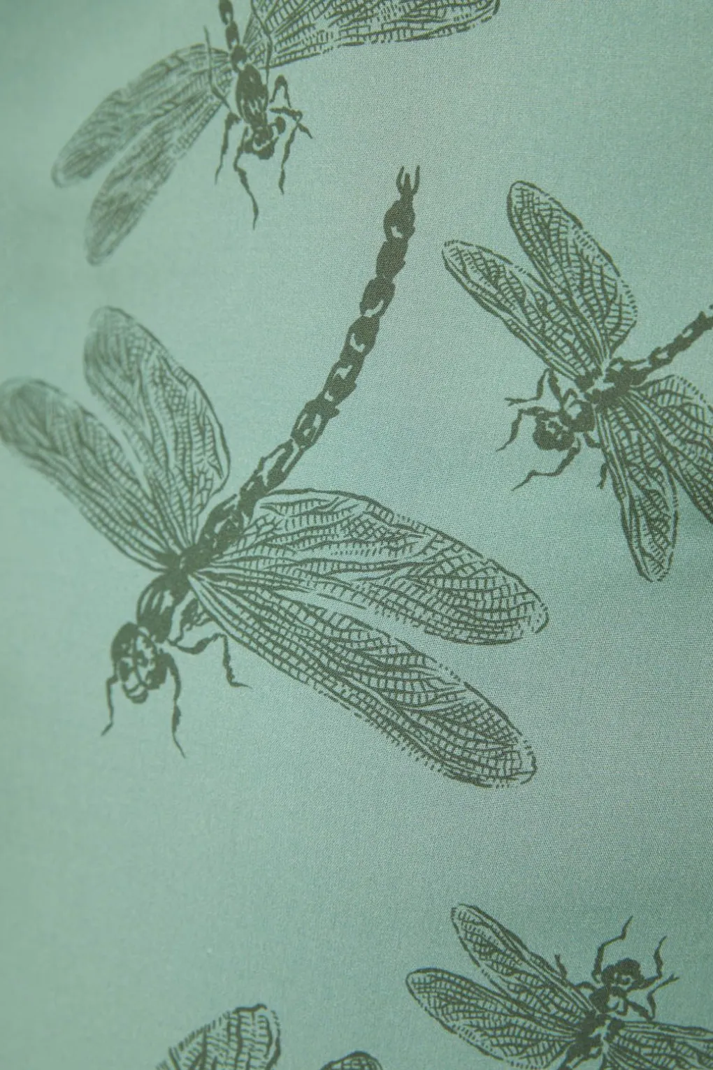 Curve New Beginnings Dress