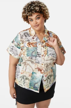 Curve Prehistoric Dino Tile Print Blouse