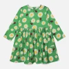 Daisy Ladybird Kids Smock Dress