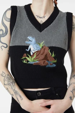 Dinosaur Contrast Knit Vest