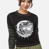Early Jurassic Contrast Ls Top