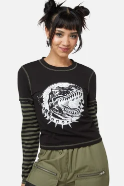 Early Jurassic Contrast Ls Top