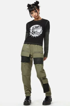 Early Jurassic Contrast Ls Top