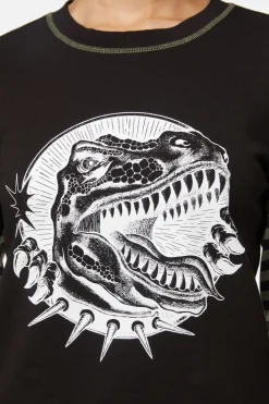 Early Jurassic Contrast Ls Top