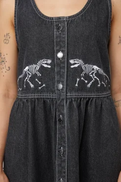 Early Jurassic Dino Pinafore