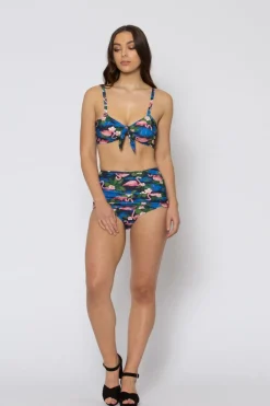 Flamingo Dance Bikini Top