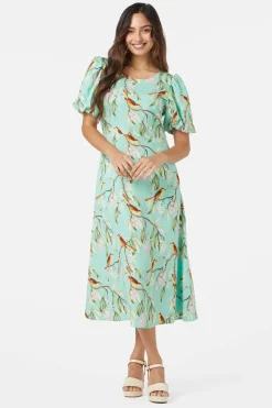 Honey Eater Midi Dress