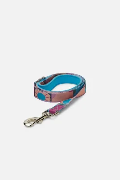 Kiko Pet Lead Large