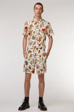 Land Down Under Trunk