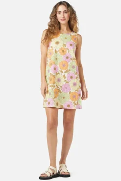 Lottie Shift Dress