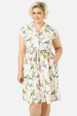 Parrot Shirt Dress