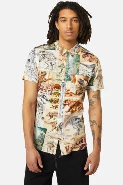 Prehistoric Dino Tile Printed Shirt