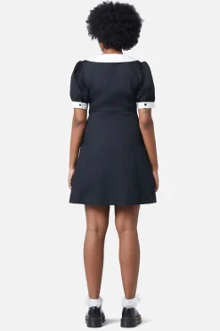 Puppy Embroidery Dress