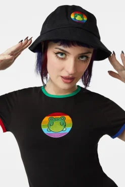 Rainbow Frog Hat