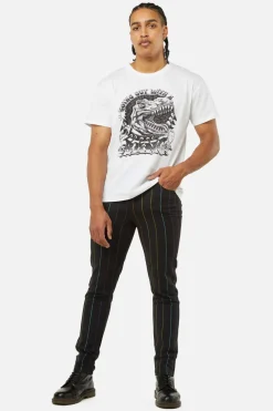 Rainbow Pinstripe Skinny Pants