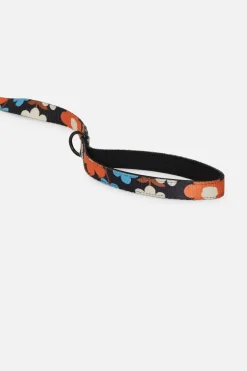 Renee Pet Lead Small