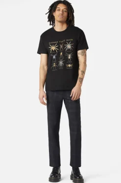 Scientific Spider Tee