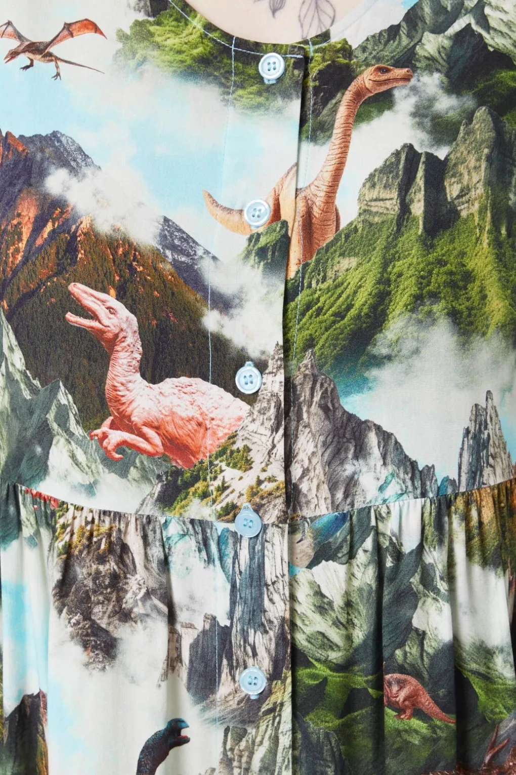 Triassic Scene Printed Dress